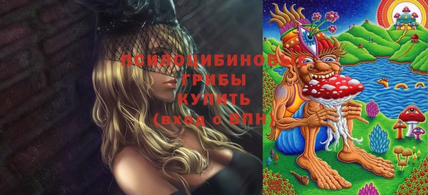 круглые Вяземский