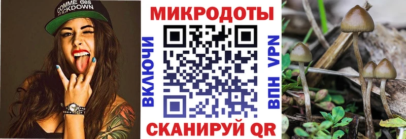 Купить закладки  Заозёрный  Галлюциногенные грибы Magic Shrooms 